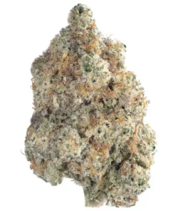 Berry Pie Strain