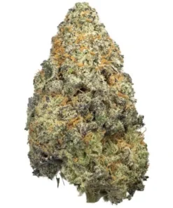 Blue Dream Strain