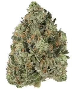 Bubba OG Strain