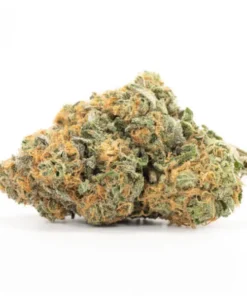 California Orange strain