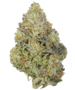 Pineapple Express Strain