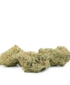 Durban Poison Strain