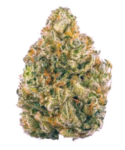 Lemon cherry gelato strain
