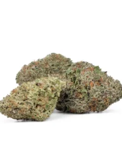 Jack Herer Strain