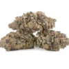 Mimosa Strain